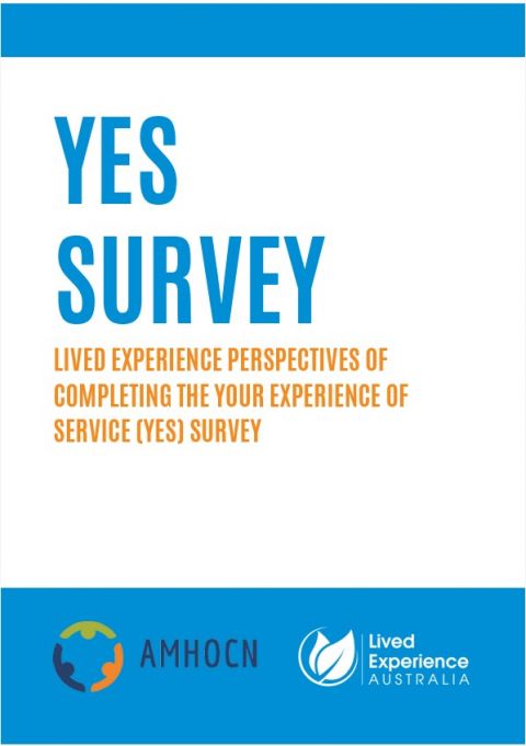 Lived Experience Perspectives of Completing the YES Survey
